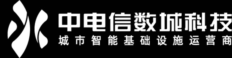 中电信数智科技有限公司